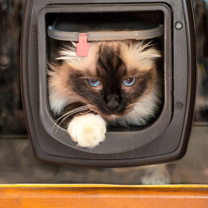 Ferplast Pet Supplies Ferplast Swing Microchip - White