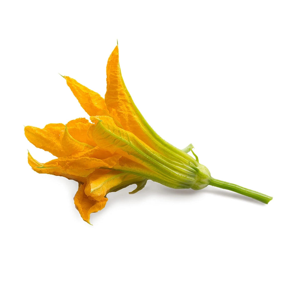 Veritable Lingot Zucchini Flowers - Organic