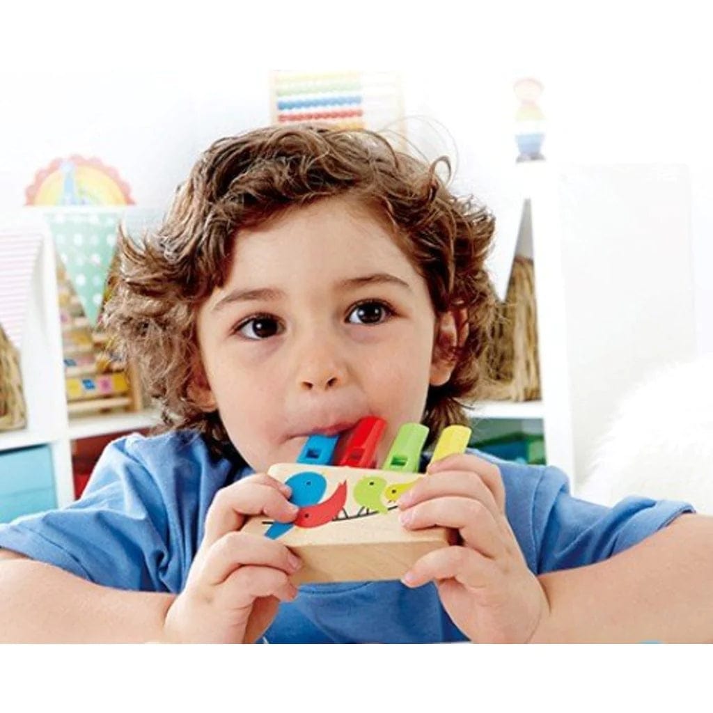 Hape Toys Rainbow Pan Pipe
