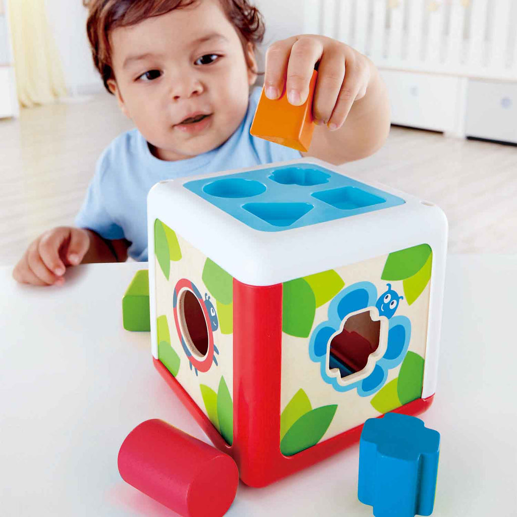 Hape Toys Shape Sorting Box