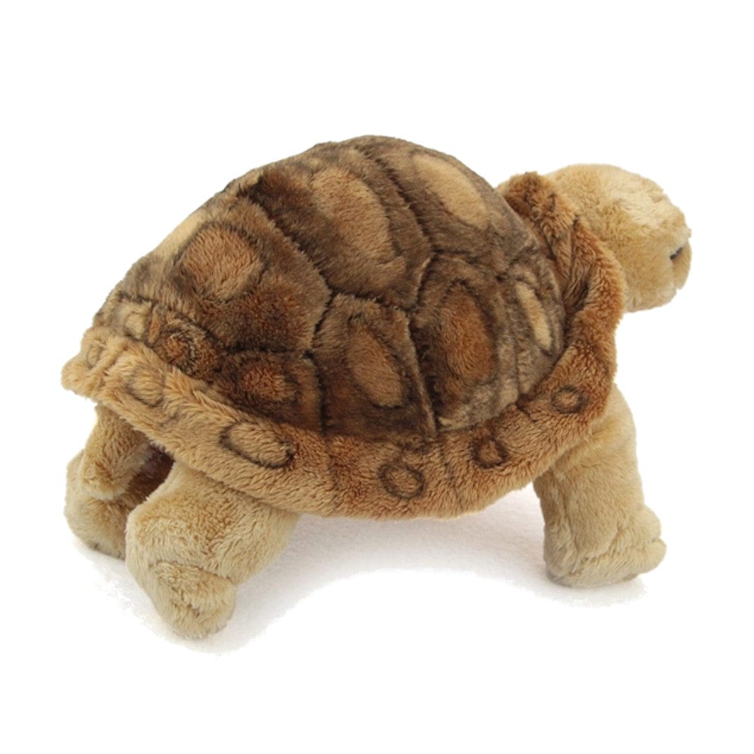 Hatim Toys Giant Tortoise