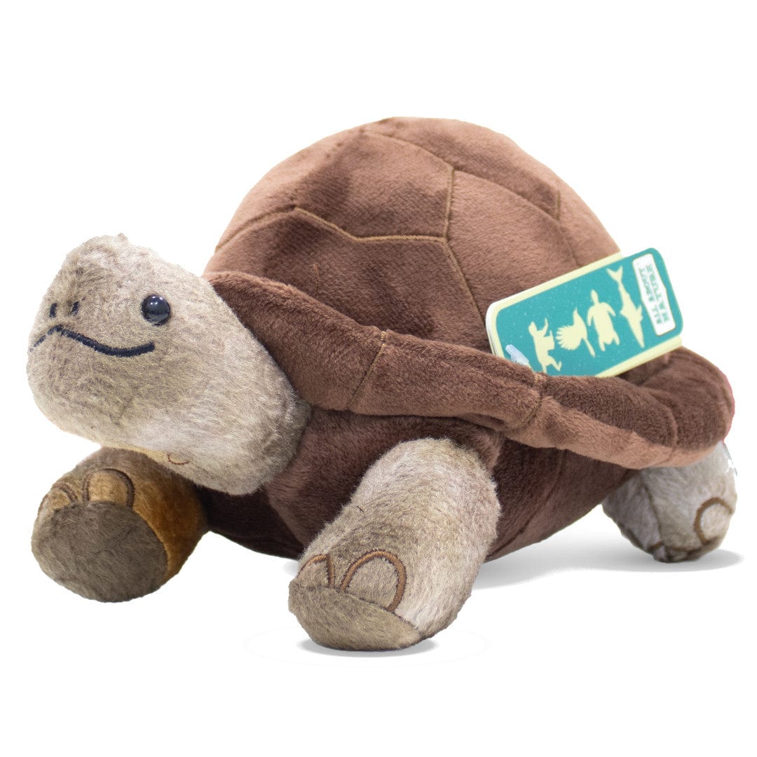 Hatim Toys Giant Tortoise
