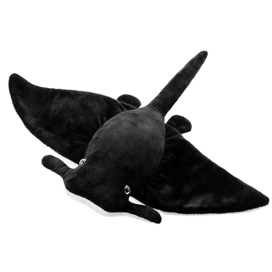Manta Ray