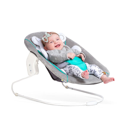 Hauck baby accessories Alpha Bouncer 2 In1 / Bear Hearts Grey