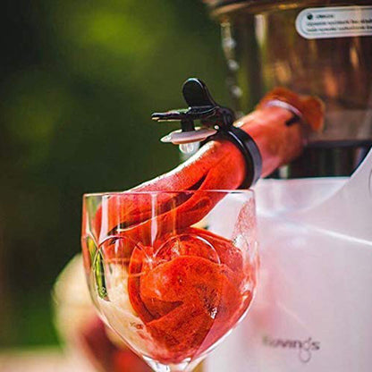 Kuvings Sorbet Strainer for B1700 Slow Juicer