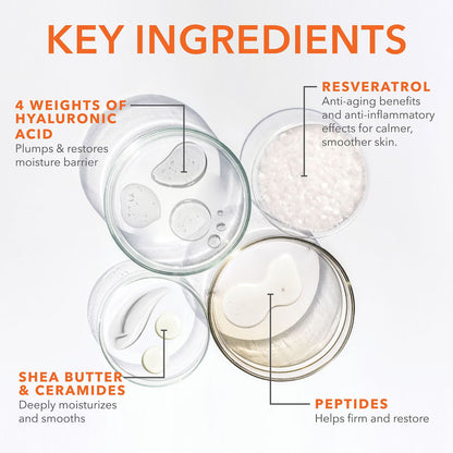 Dr Dennis Gross Skincare DermInfusions Blur and Repair Cream 50ml