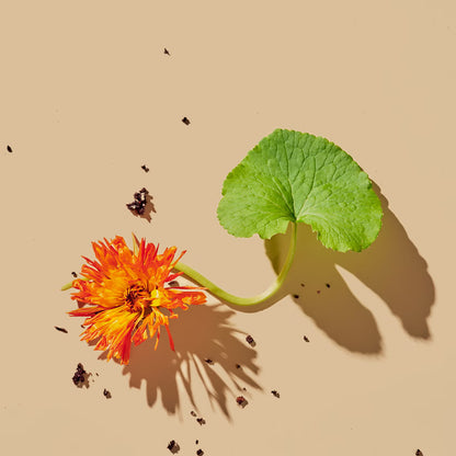 Tata Harper Refining Cleanser 15ml