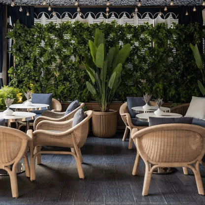 Ligna Home & Kitchen Café Rattan Chair