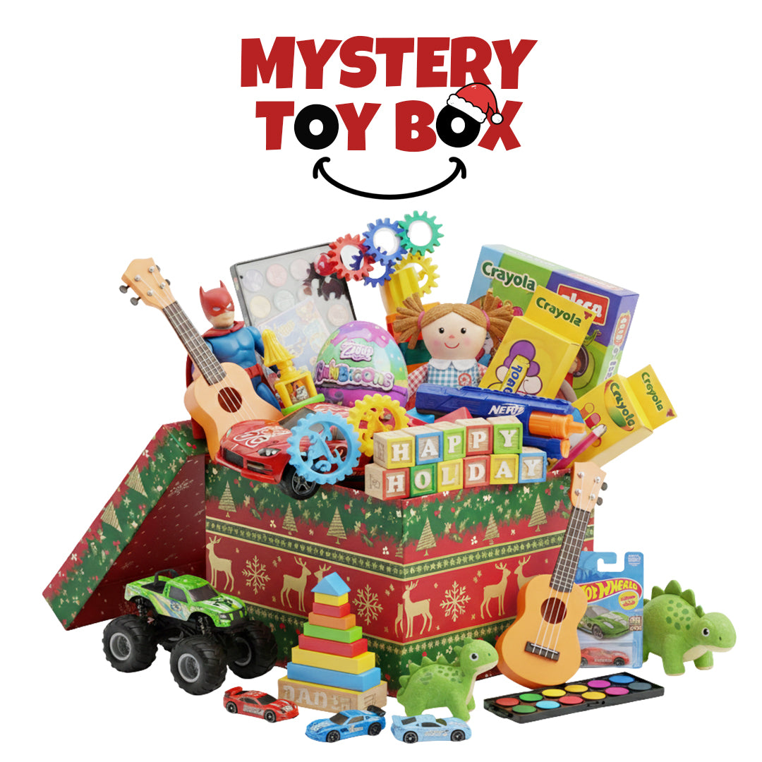 Mystery Toy Box - Multiple Toys