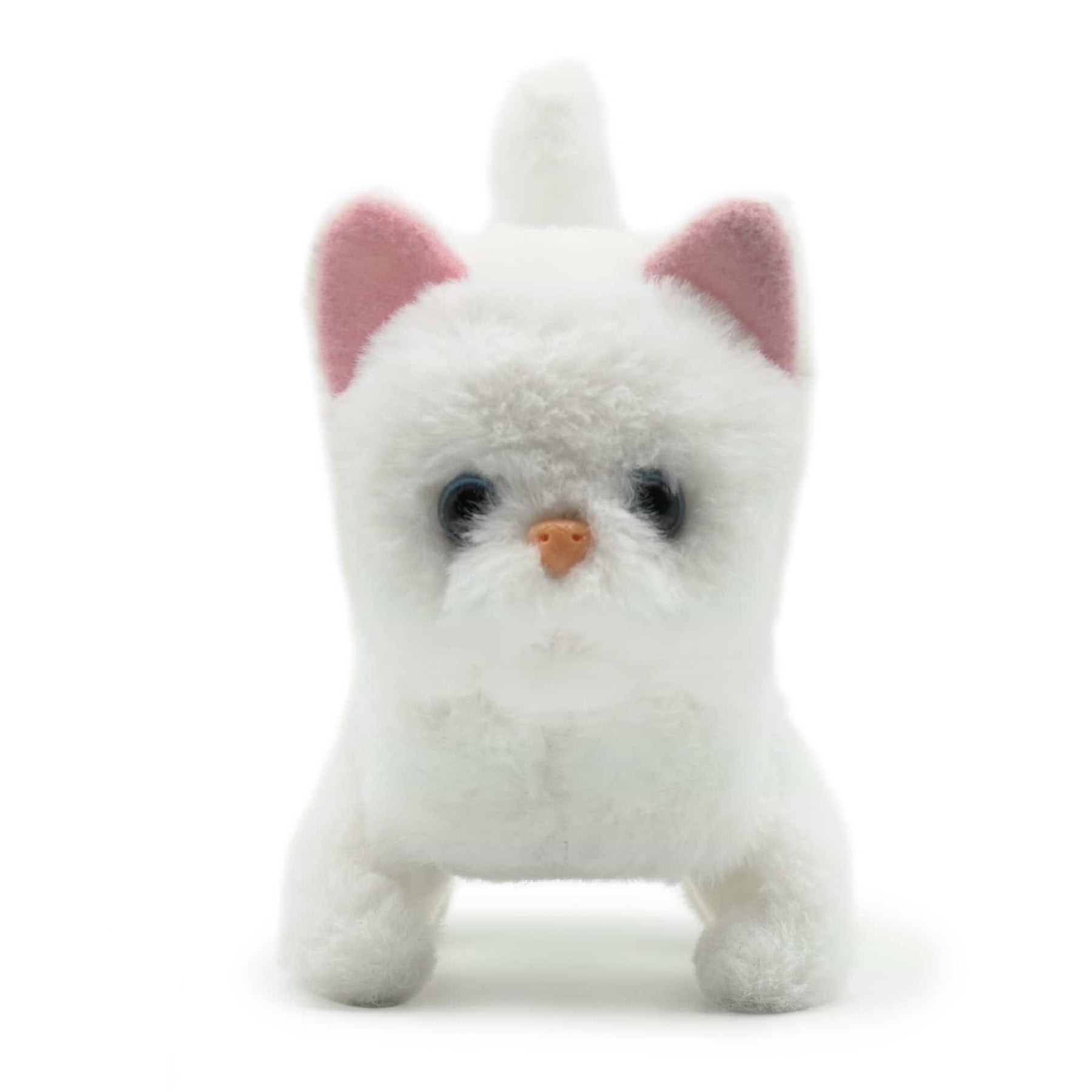 Pugs At Play Toys Pugs at Play Casper