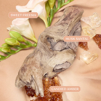 Kayali Freedom Discovery Layering Set