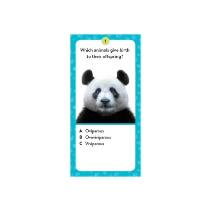 Sassi Mega Atlas The Ultimate Animals