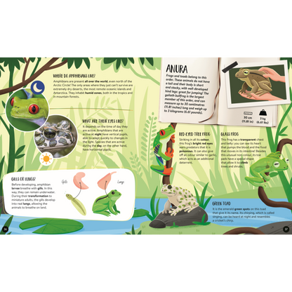 Sassi Mega Atlas The Ultimate Animals