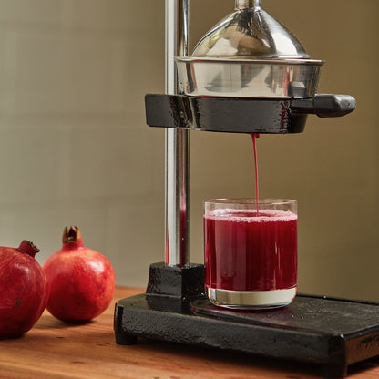 Kuchenprofi Cilio Pomegranate Juice Squeezer