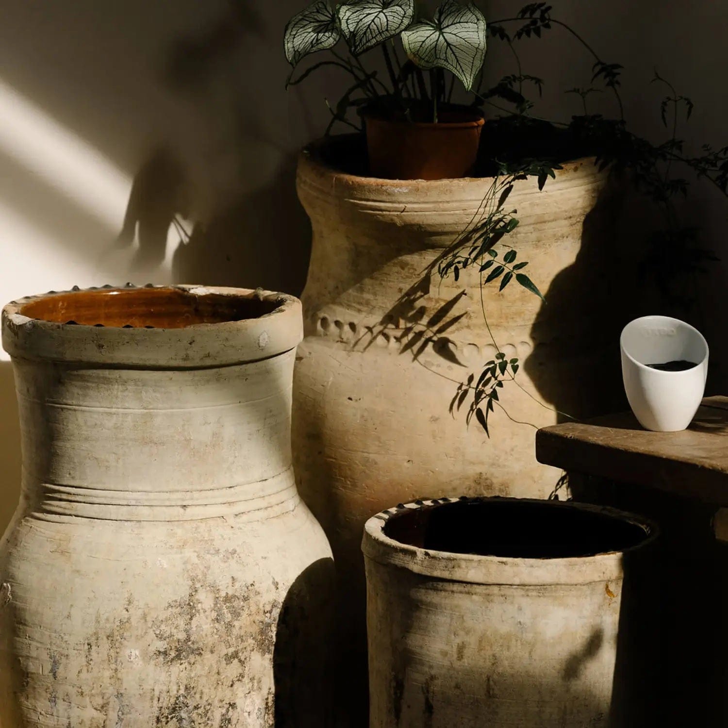 Vyrao Home & Kitchen Vyrao Ember Candle 170g