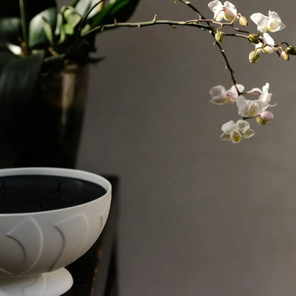 Vyrao Home & Kitchen Vyrao Large Ember Candle 570g