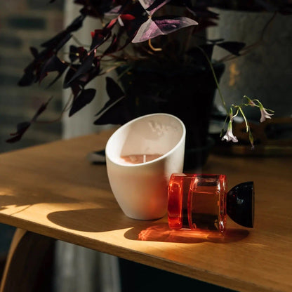 Vyrao Home & Kitchen Vyrao Rose Marie Candle 170g