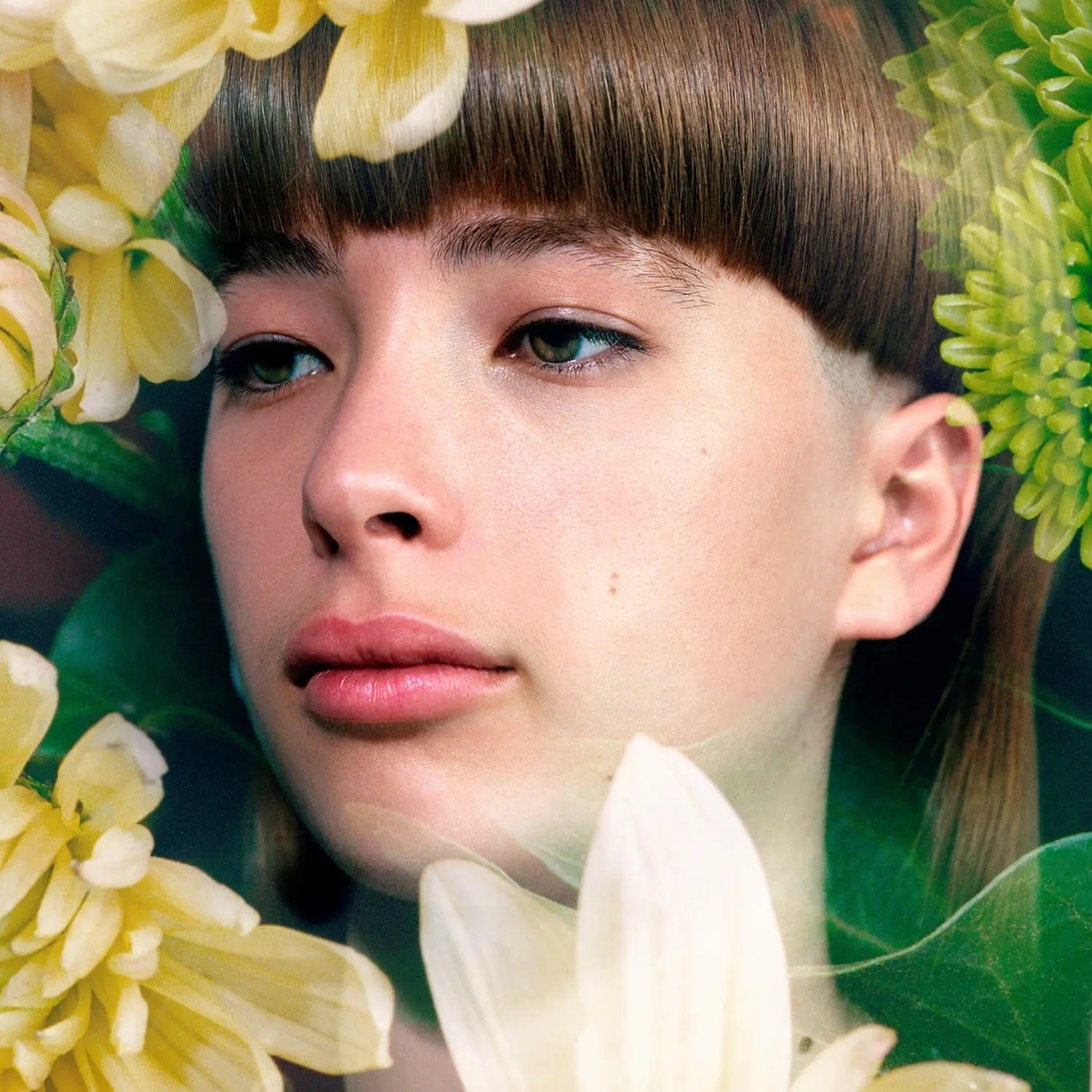 Vyrao Home & Kitchen Vyrao Verdant Incense 210g