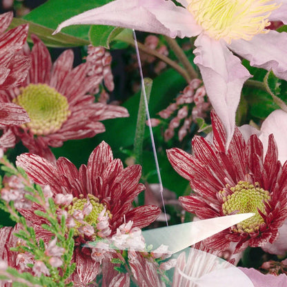 Vyrao Home & Kitchen Vyrao Witchy Incense 210g