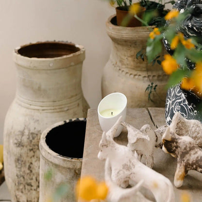 Vyrao Home & Kitchen Vyrao Wonder Candle 170g