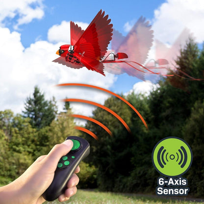 Zing Toys Go Go Bird - Green