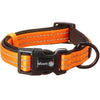 Alcott Pet Supplies Visibility Collar - Large - Neon Orange