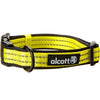 Alcott Pet Supplies Visibility Collar - Medium - Neon Yellow