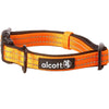 Alcott Pet Supplies Visibility Collar - Small - Neon Orange