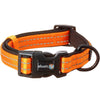 Alcott Pet Supplies Visibility Collar - Small - Neon Orange
