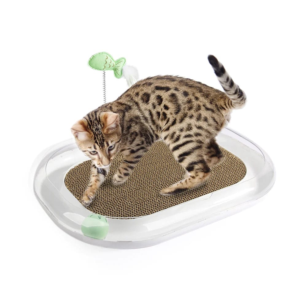 All For Paws Pet Supplies Cat Runway Scratcher