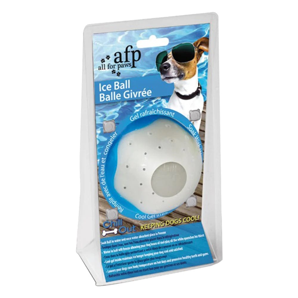 All For Paws Pet Supplies Chill Out Ice Ball - Large