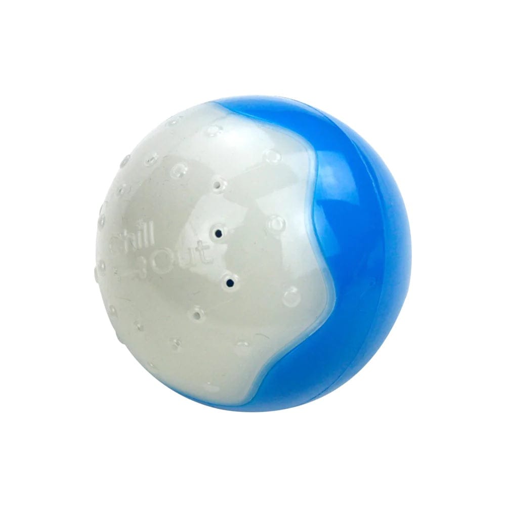 All For Paws Pet Supplies Chill Out Ice Ball - Large