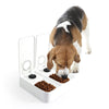 All For Paws Pet Supplies Double Timer Feeder