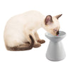 All For Paws Pet Supplies Elevated Pet Water Bowl - White