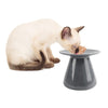 All For Paws Pet Supplies Elevated Pet Wet Food Bowl - Charcoal