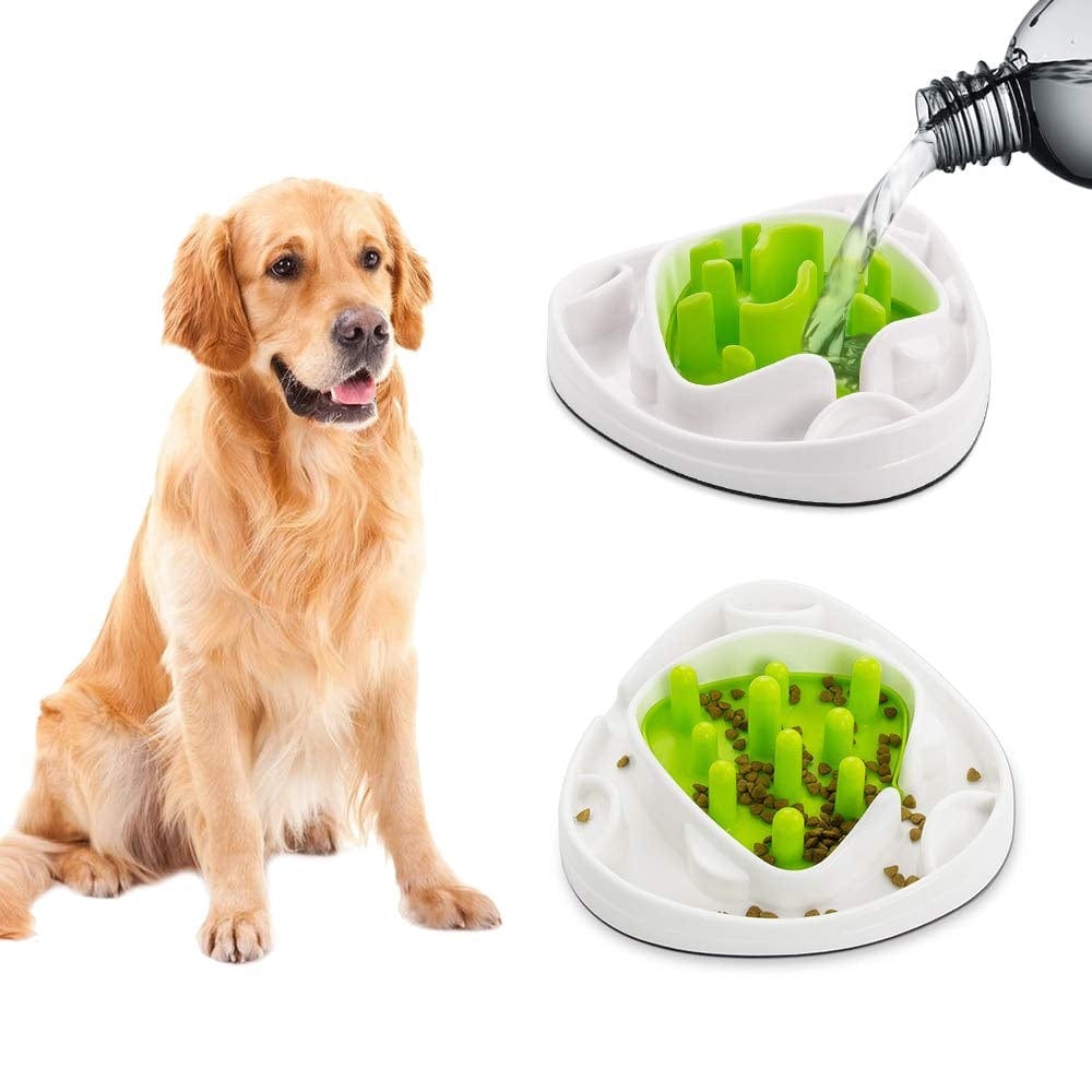 All For Paws Pet Supplies Interactive Food Maze