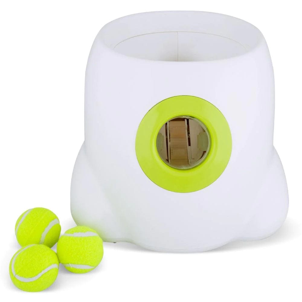 All For Paws Pet Supplies Interactive Hyper Fetch Mini