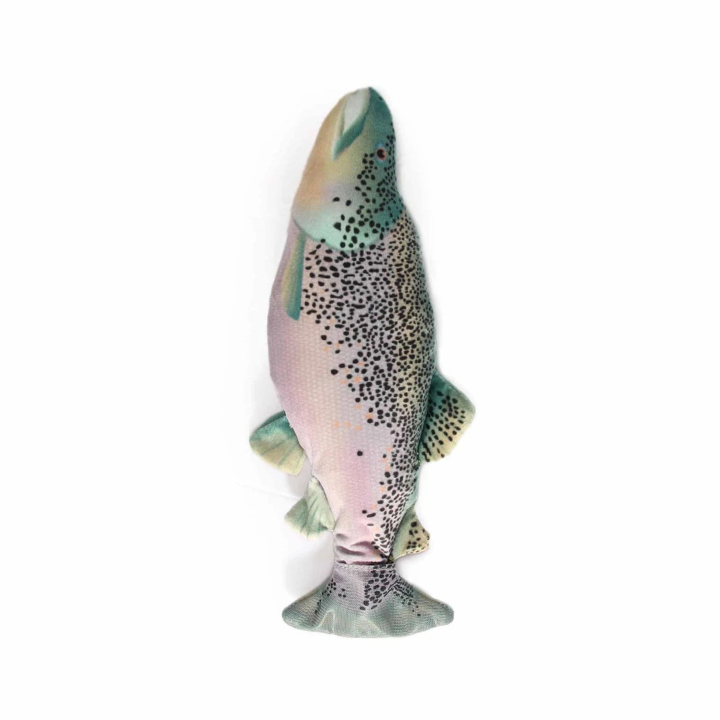 All For Paws Pet Supplies Jittering Fish Trout