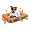 All For Paws Pet Supplies Quick Dry Outdoor Dog Mat - Orange - Small