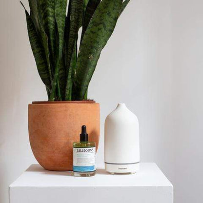 Anatome Beauty Anatome Room Diffuser + Humidifier