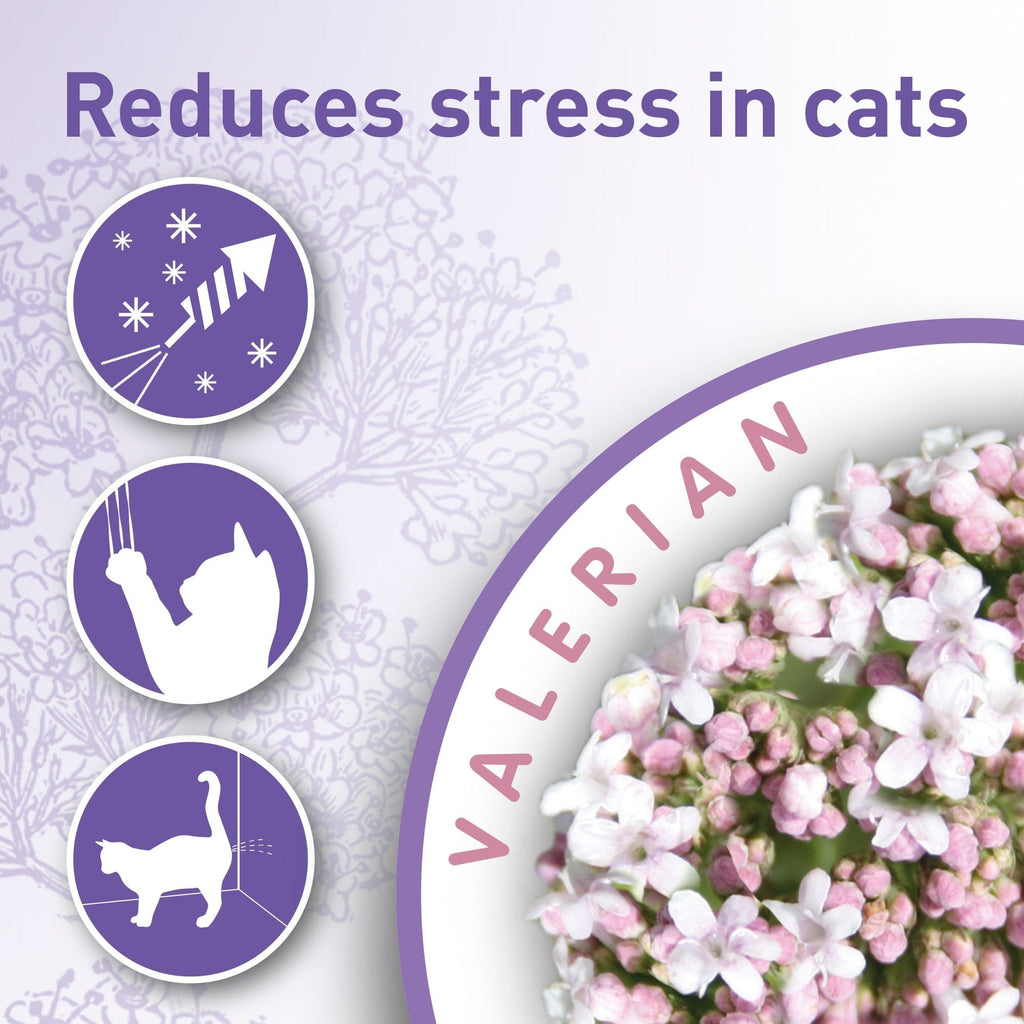 Beaphar Pet Supplies Beaphar Calming Collar for Cat