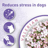 Beaphar Pet Supplies Beaphar Calming Collar for Dog