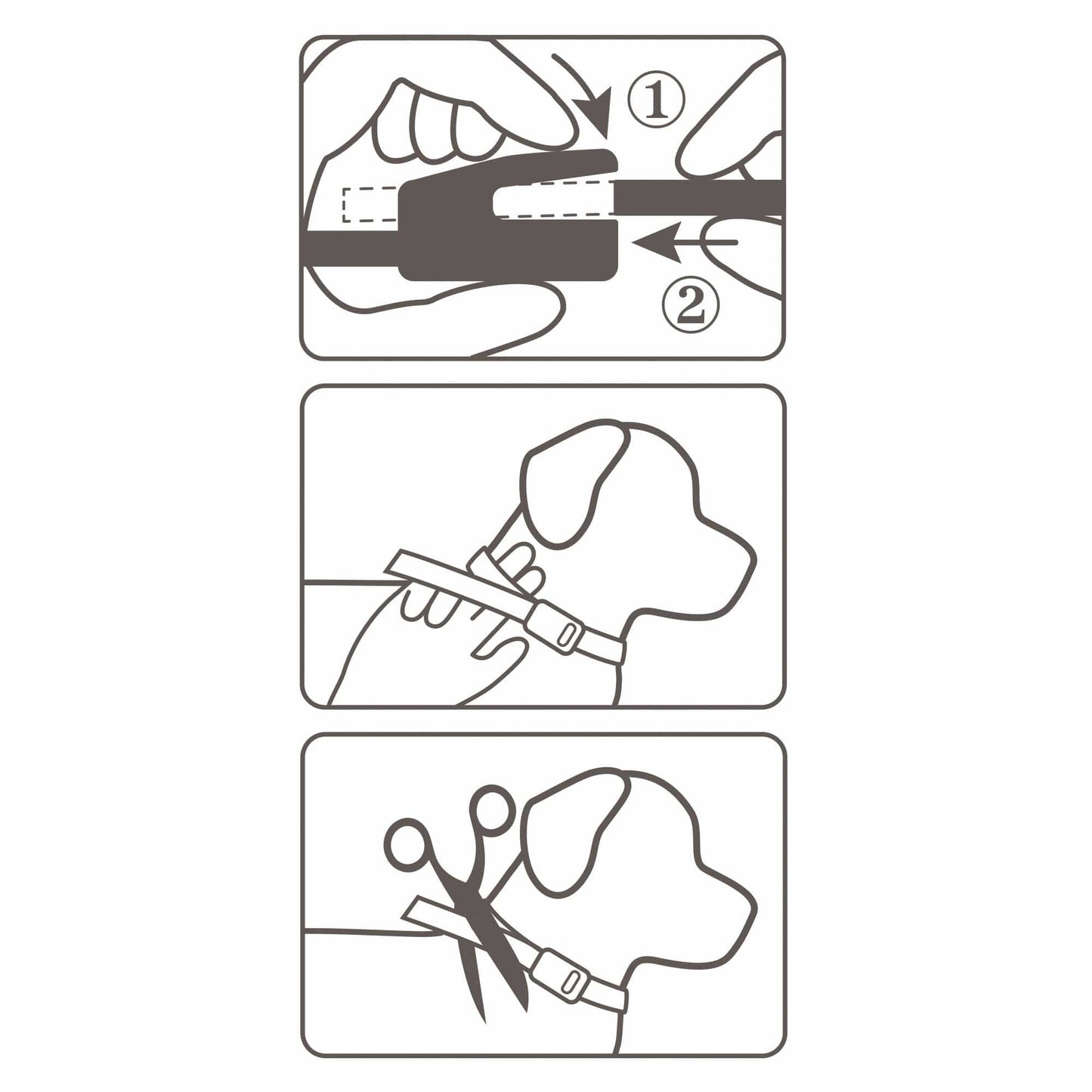 Beaphar Pet Supplies Beaphar Canishield Flea & Tick Collar (Deltamethrin) - Small & Medium Dogs