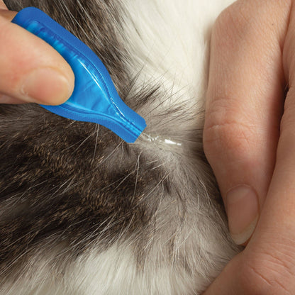 Beaphar Pet Supplies Beaphar Fiprotec for Cat - 4 Pipettes