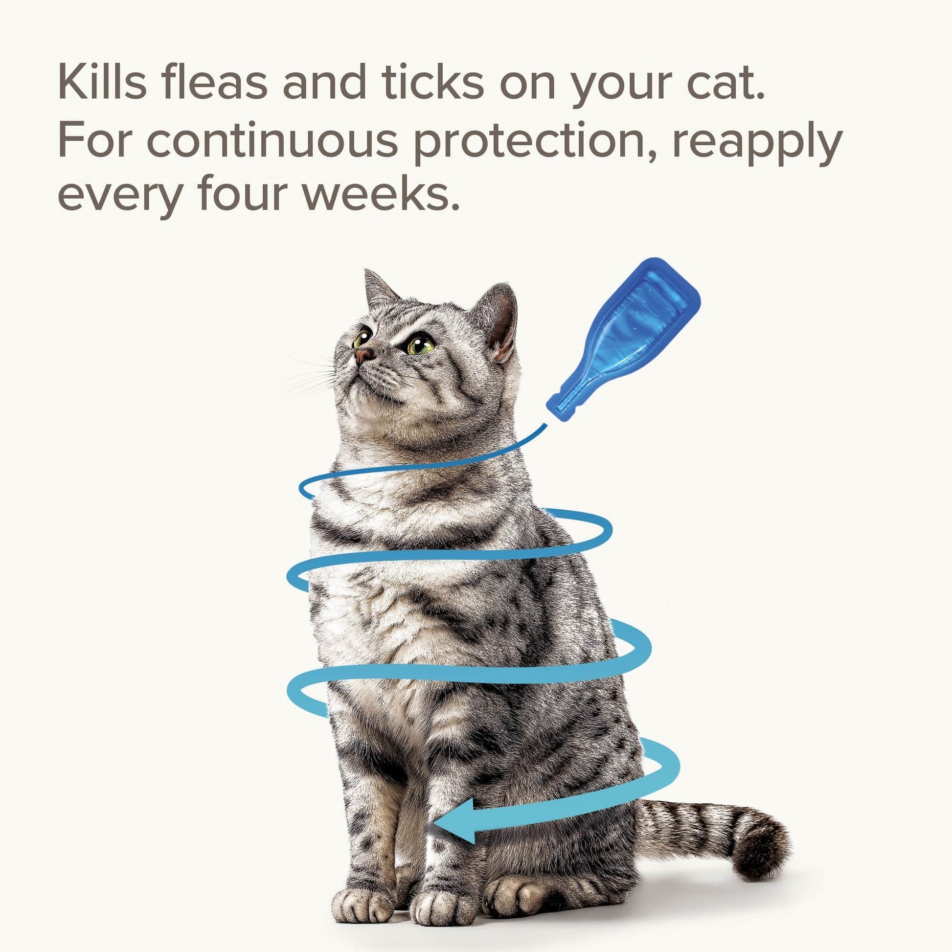 Beaphar Pet Supplies Beaphar Fiprotec for Cat - 4 Pipettes