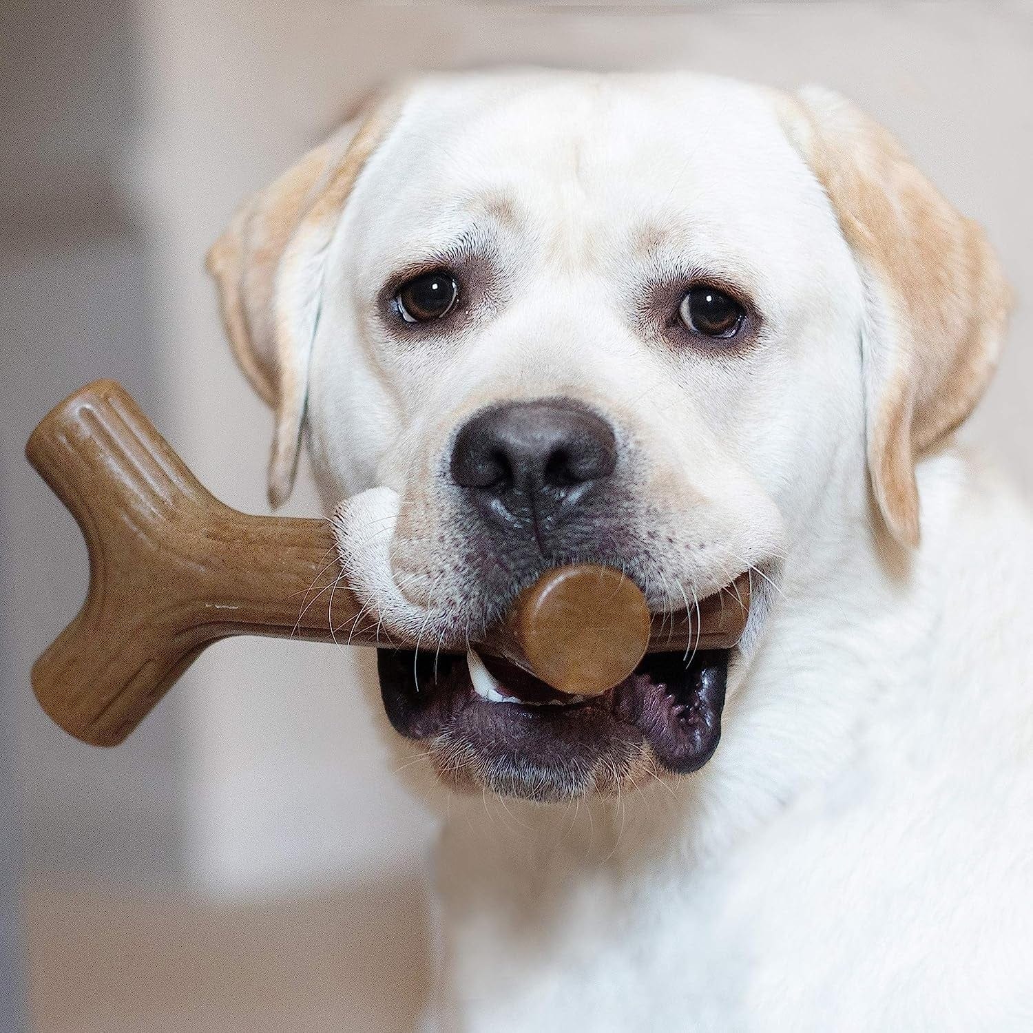 Benebone Pet Supplies Benebone Bacon Stick - Giant