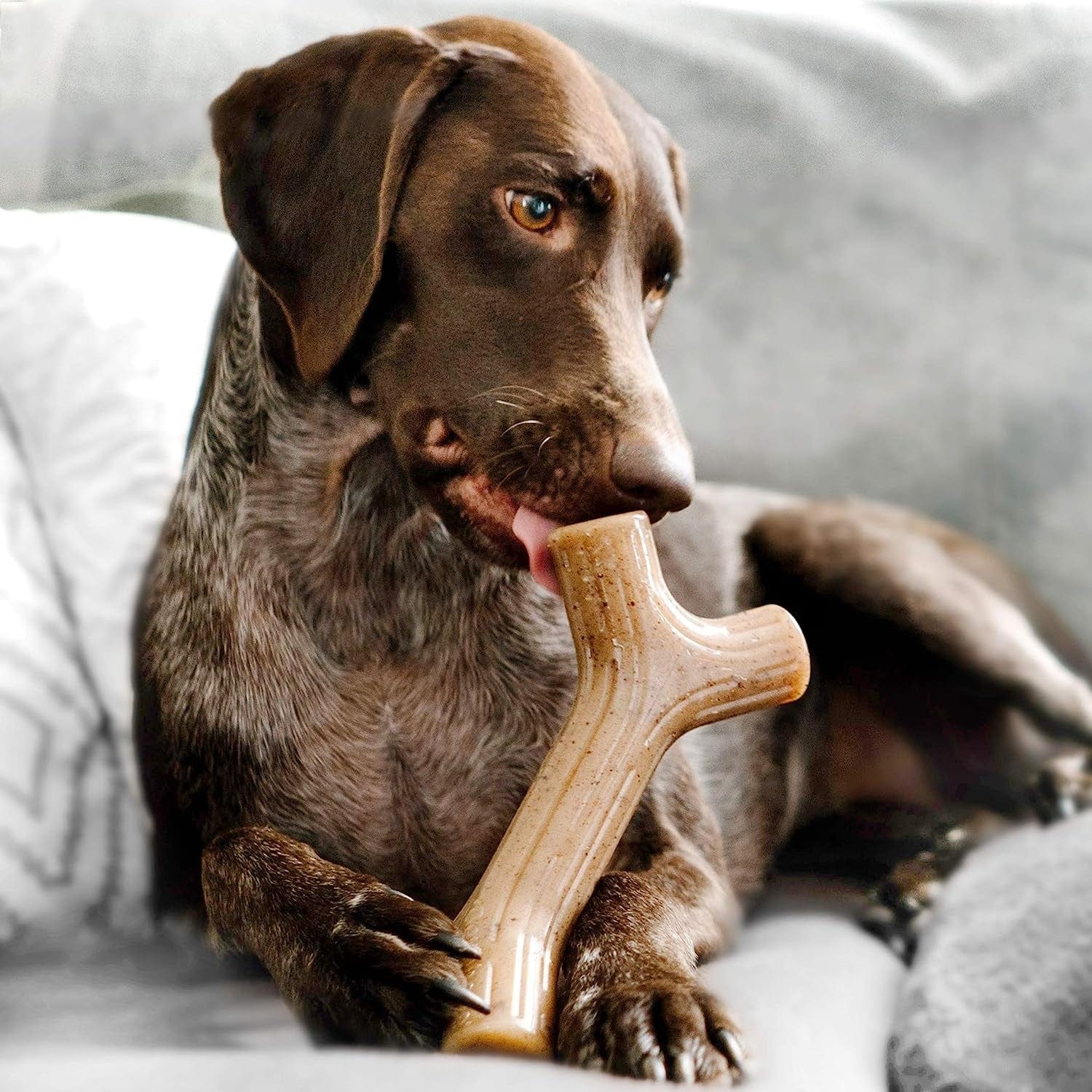 Benebone Pet Supplies Benebone Bacon Stick - Large