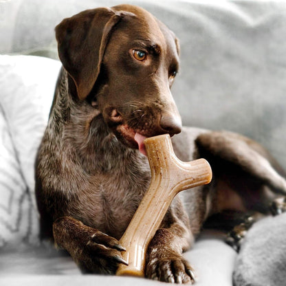 Benebone Pet Supplies Benebone Bacon Stick - Large