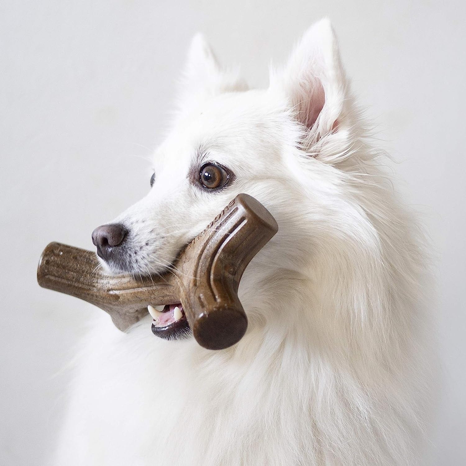 Benebone Pet Supplies Benebone Bacon Stick - Medium