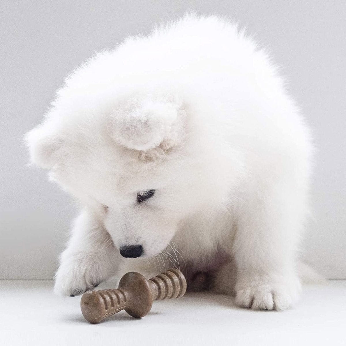 Benebone Pet Supplies Benebone Puppy 2-Pack Maplestick/Zaggler Bacon - Tiny